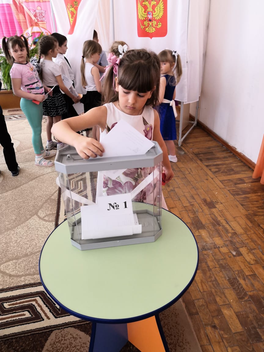В детском саду Зейского района провели выборы