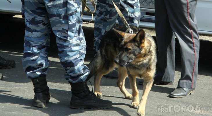 Полицейские привезли из Самары 31-летнюю преступницу