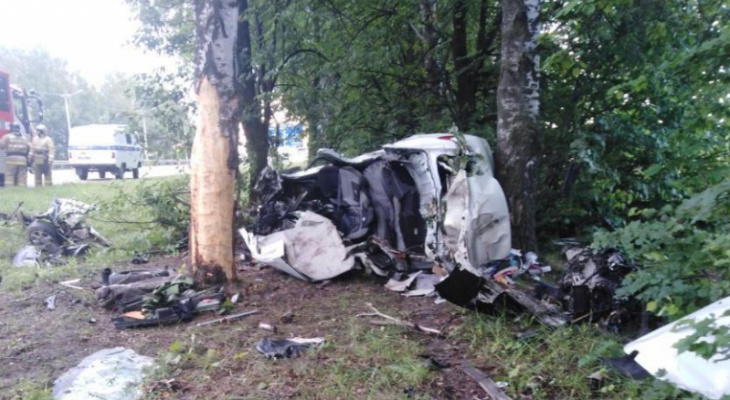 В Чебоксарском районе Renault Logan влетел в дерево, два человека погибли