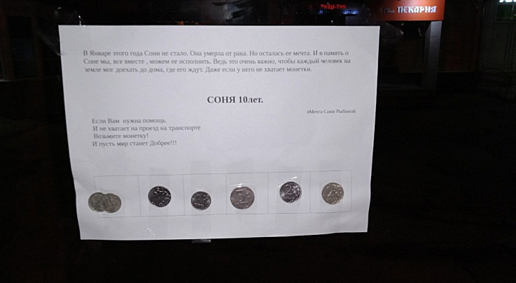 Чебоксарцы не забирают, а подкладывают монетки в письма о мечте 10-летней девочки