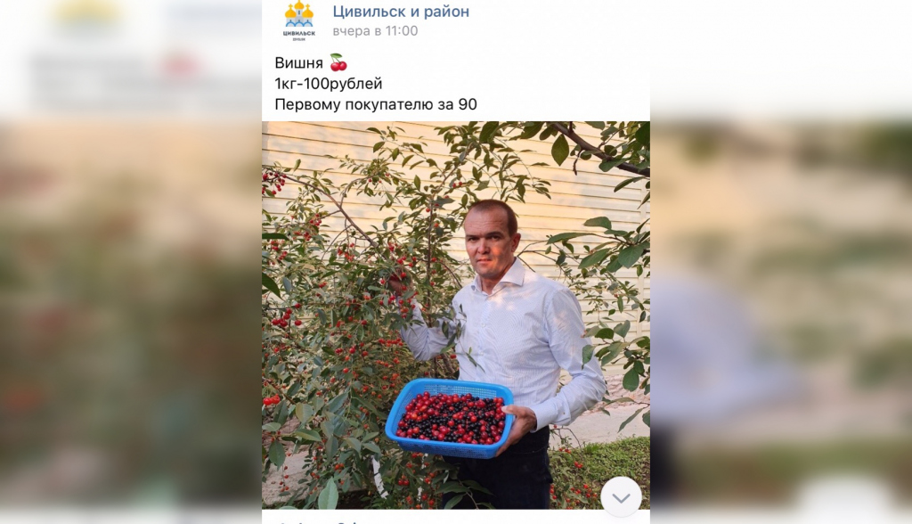 Глава Чувашии высказался об использовании его фото для продажи вишни