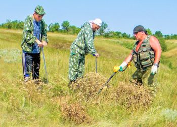 Амурские поисковики нашли восемь неучтенных мест захоронений бойцов Красной армии