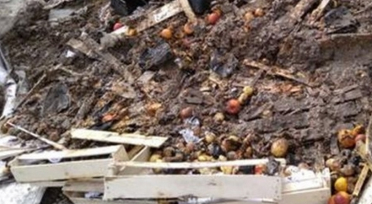 В Чебоксарах раздавили 700 килограммов нелегальных нектарин