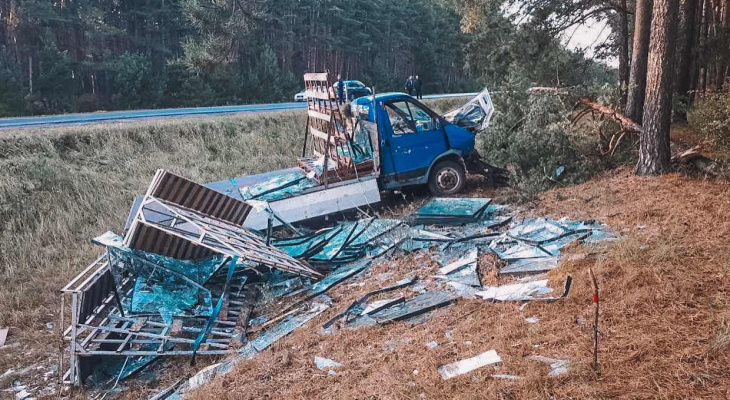В Чувашии водитель грузовой ГАЗели выехал в кювет и погиб